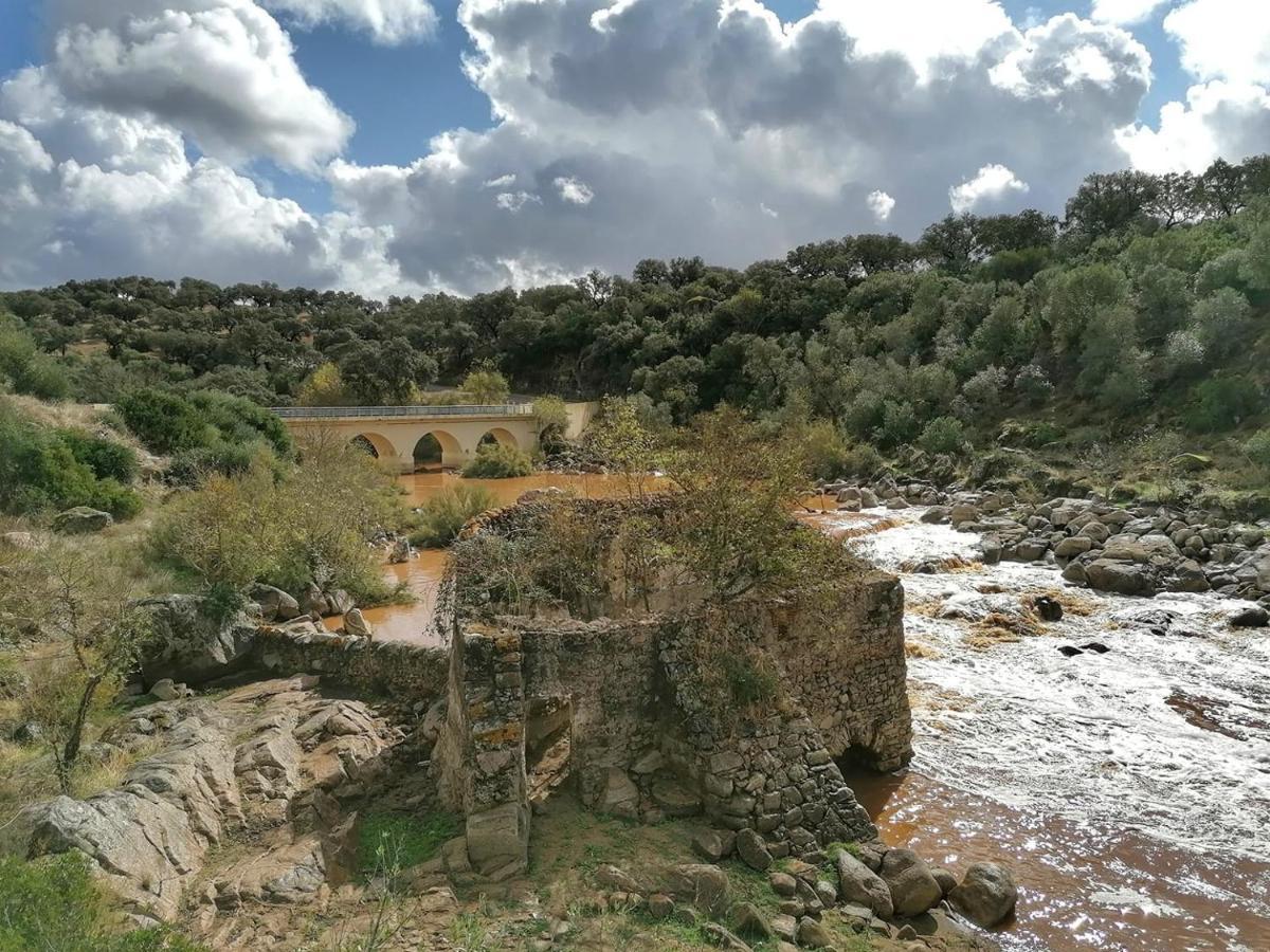Holiday home Monte Do Salto Da Raposa *